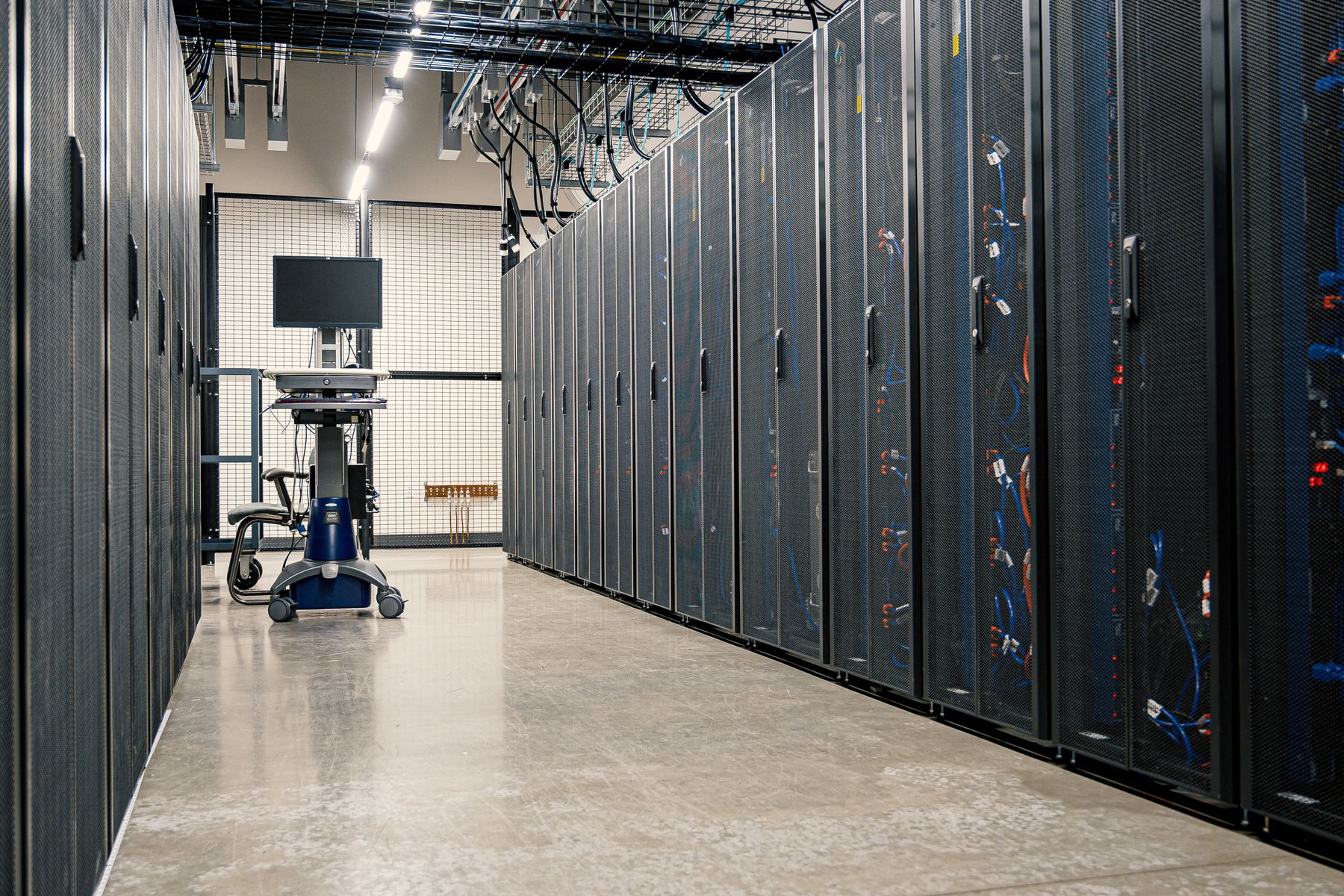 Data Lifecycle Management